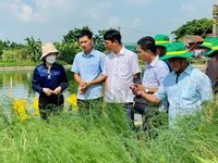 Đổi mới toàn diện, nâng cao vị thế tổ chức Hội Nông dân Việt Nam
