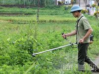 Phát động thi đua bảo vệ môi trường tại phường Tân Hòa