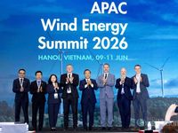 Việt Nam mở 'đường băng' cho điện gió ngoài khơi