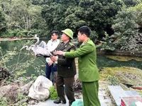 Kế hoạch 628 và hành trình chưa có hồi kết