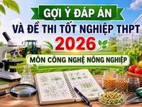 Đáp án, đề thi tất cả các môn thi tốt nghiệp THPT 2026