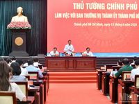Thành phố Hồ Chí Minh cần đổi mới tư duy, quyết tâm thực hiện đạt và vượt các mục tiêu đã đề ra