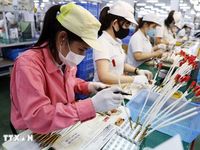 Bộ Chính trị ban hành nghị quyết mới về phát triển kinh tế có vốn đầu tư nước ngoài - Phần 2