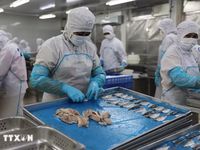 Xây dựng kế hoạch phát triển KT-XH và dự toán ngân sách nhà nước năm 2027