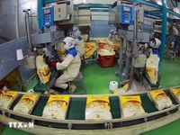Xây dựng kế hoạch phát triển KT-XH và dự toán ngân sách nhà nước năm 2027