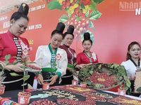 Chuyển đổi xanh mở lối cho nông nghiệp Sơn La phát triển bền vững