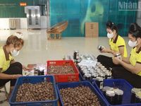 Chuyển đổi xanh mở lối cho nông nghiệp Sơn La phát triển bền vững