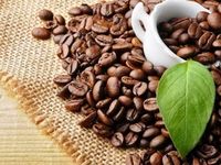 Giá nông sản hôm nay (16/6): Giá cà phê tiếp tục neo cao, hồ tiêu ổn định