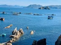 1.000 đại biểu, nhà đầu tư tham dự hội nghị công bố điều chỉnh quy hoạch và xúc tiến đầu tư tỉnh Đắk Lắk