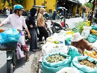 Mùa lá mồng 5 về giữa góc chợ phố cổ Hội An