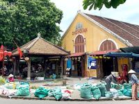 Mùa lá mồng 5 về giữa góc chợ phố cổ Hội An