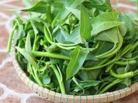 5 loại rau rẻ nhưng cực bổ dưỡng, nhiều gia đình Việt đang ăn mà không biết giá trị thật