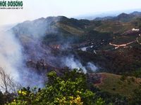Quân đội tăng quân số, quyết tâm khống chế đám cháy rừng ở Nghệ An