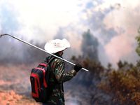 Hàng trăm người căng mình dập lửa cứu rừng suốt hai ngày đêm