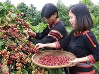 Đắk Lắk 'miền đất hứa' của các nhà đầu tư