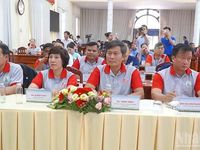 Sáu cá thể sếu đầu đỏ vượt hành trình 19 giờ, về Vườn quốc gia Tràm Chim khỏe mạnh