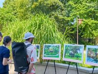 Trưng bày tại Pháp tư liệu, hình ảnh về cuộc đời và sự nghiệp của Chủ tịch Hồ Chí Minh