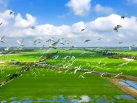 Về quê Hồ Văn Cường mới thấy nơi đây có một 'đặc sản' không thể mang về bằng túi xách