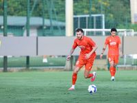 Loạt tuyển thủ Việt Nam chấn thương