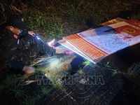 Quảng Ninh: Khẩn trương khắc phục hậu quả bão số 1, sớm khôi phục cấp điện cho Cô Tô