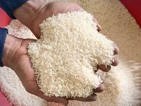 Giá nông sản hôm nay (6/7): Giá cà phê tăng mạnh, hồ tiêu lao dốc