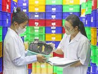 Óc Eo - Ba Thê trên hành trình trở thành Di sản thế giới