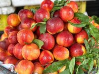 'Cực phẩm' mùa hè từ những loại trái cây vừa ngon vừa bổ