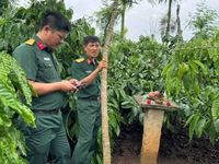 Nguồn tin báo của nhân dân là 'hoa tiêu' giúp các lực lượng chức năng tỉnh Đắk Lắk tìm kiếm, quy tập hài cốt liệt sĩ