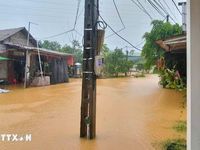 Mưa lớn gây ngập lụt tại một số địa phương ở tỉnh Lào Cai