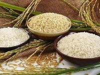 Giá nông sản hôm nay (9/7): Giá cà phê lao dốc, hồ tiêu bật tăng