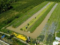 Xây dựng chương trình sát thực tế, phát huy hiệu quả tiềm năng địa phương