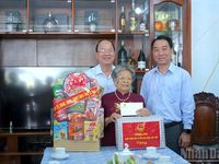 Phó Thủ tướng Hồ Quốc Dũng khảo sát xưởng chế biến tôm và tình hình sạt lở tại Cà Mau