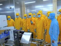 Phó Thủ tướng Hồ Quốc Dũng khảo sát xưởng chế biến tôm và tình hình sạt lở tại Cà Mau