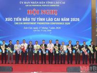Lào Cai trao Quyết định chấp thuận chủ trương đầu tư cho 24 dự án kinh tế