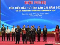 Lào Cai trao Quyết định chấp thuận chủ trương đầu tư cho 24 dự án kinh tế