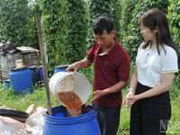 Tìm giải pháp phát triển bền vững ngành hàng hồ tiêu Lâm Đồng