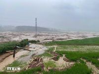 Lũ quét gây thiệt hại lớn tại hai xã thuộc Lai Châu và Sơn La