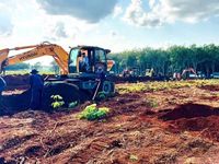 Khẩn thiết tìm kiếm nhân chứng giúp quy tập hài cốt liệt sĩ ở Đồng Nai