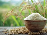 Giá nông sản hôm nay (22/7): Giá cà phê tiếp đà tăng, hồ tiêu ổn định