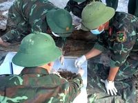 Kỳ 4: Khẽ nhẹ từng nắm đất tìm hài cốt và hành trình 'trả lại tên' cho các anh