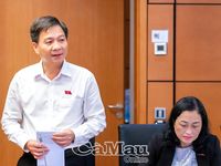 Đại biểu Quốc hội Đoàn Cà Mau kiến nghị hoàn thiện cơ chế đầu tư các dự án hạ tầng trọng điểm