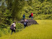 Đánh thức cung đường trekking xanh giữa đại ngàn xã Đặng Thùy Trâm