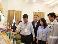 Lễ hội Sầu riêng Đắk Lắk 2026: Nữ bí thư xã cùng livestream bán hàng cho người dân, doanh nghiệp