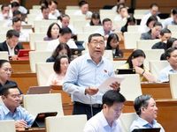 Cần cơ chế nghiêm khắc với lao động Việt Nam vi phạm pháp luật ở nước ngoài