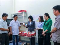 Tinh gọn bộ máy: Tổ chức lại các đầu mối, hướng tới hiệu quả, thực chất