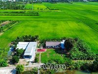 Nông dân học cách đưa công nghệ số vào đồng ruộng