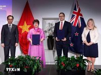 Tổng Bí thư, Chủ tịch nước Tô Lâm dự Diễn đàn giáo dục đại học và giáo dục nghề nghiệp Việt Nam – New Zealand