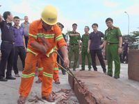 Gia Lai phá vụ giấu gần 1,2 tấn ngà voi trong lô gỗ từ Congo