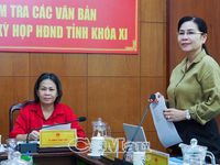 Rà soát, hoàn thiện các nghị quyết về phân bổ nguồn lực