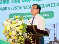 Gỡ điểm nghẽn, nâng tầm chuỗi giá trị sầu riêng Đắk Lắk